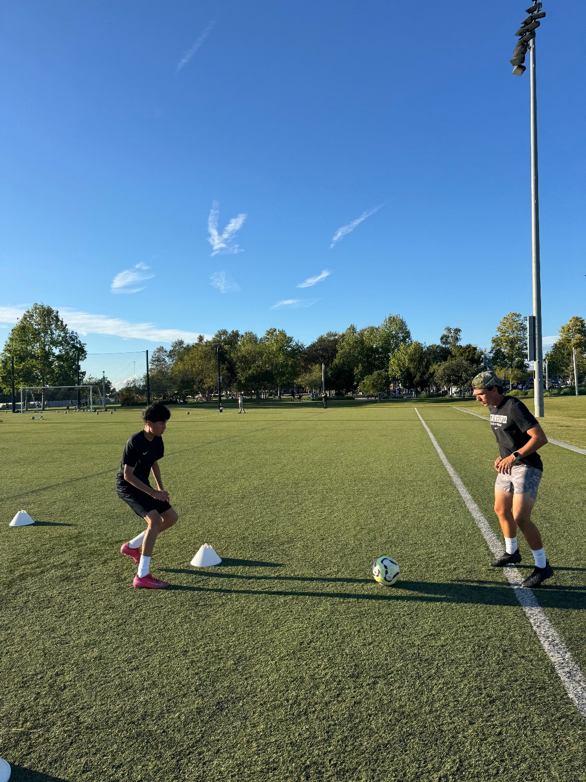 8 Week BallMasters Elite Development Program